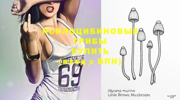 крисы Абаза