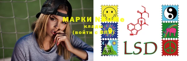 крисы Абаза