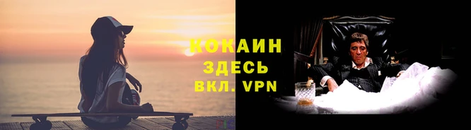СК Абинск
