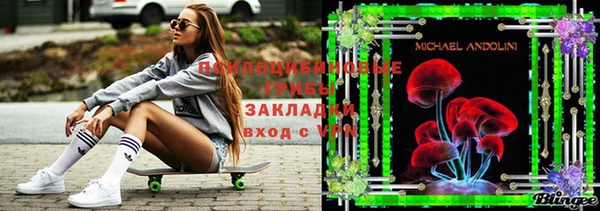 крисы Абаза