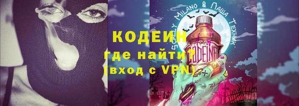 крисы Абаза