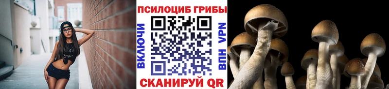 Псилоцибиновые грибы Magic Shrooms  кракен зеркало  Шахунья 