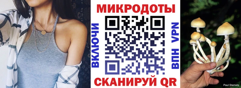 Галлюциногенные грибы Psilocybine cubensis Шахунья